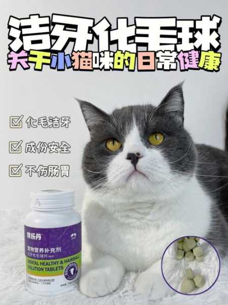 猫咪多大可以吃猫草和去毛膏（宠物猫多大可以吃猫草）