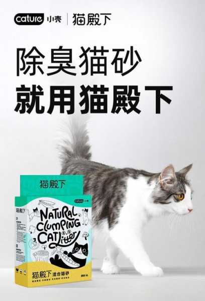 猫砂除臭效果（猫砂除臭效果好的品牌）