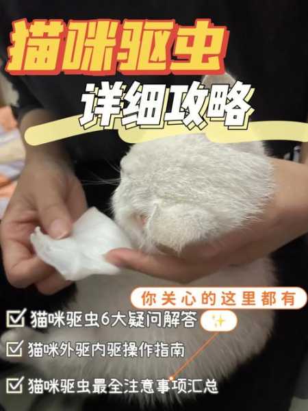 猫咪有寄生虫是什么症状（猫有寄生虫能自愈吗）