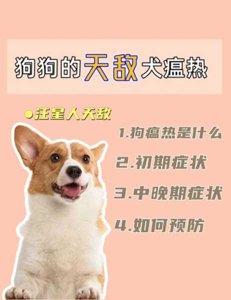 犬瘟热怎么办（犬瘟热大概能活多久?）