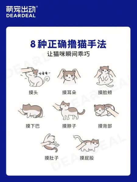 怎么让猫猫收爪子（怎么让猫猫收爪子视频）