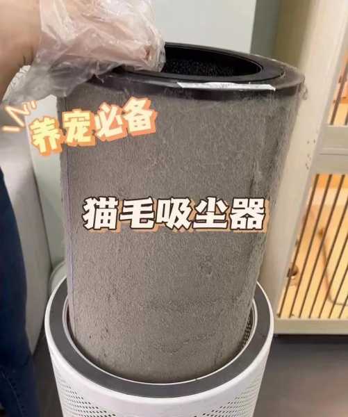 怎么让猫不怕吸尘器（猫咪不怕吸尘器）