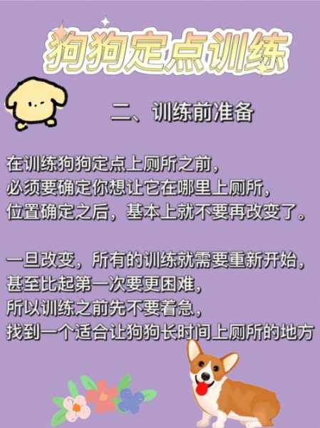 怎么训练幼犬出门大小便（怎样训练幼狗大小便）