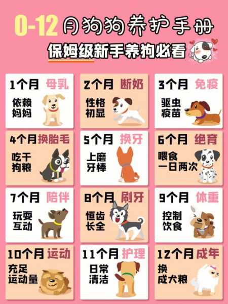 刚出生的幼犬如何科学喂养（刚出生的幼犬如何科学喂养方法）