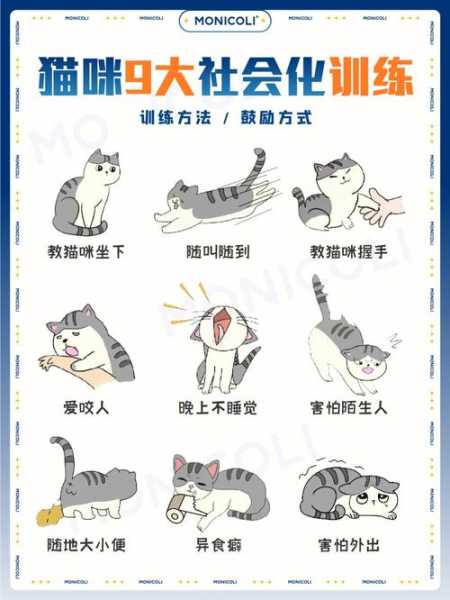 如何拥有一只粘人的猫（怎么养出黏人的猫）