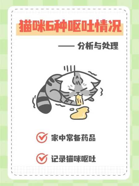 猫咪呕吐是什么原因造成的（猫咪呕吐是什么原因造成的吃什么药）