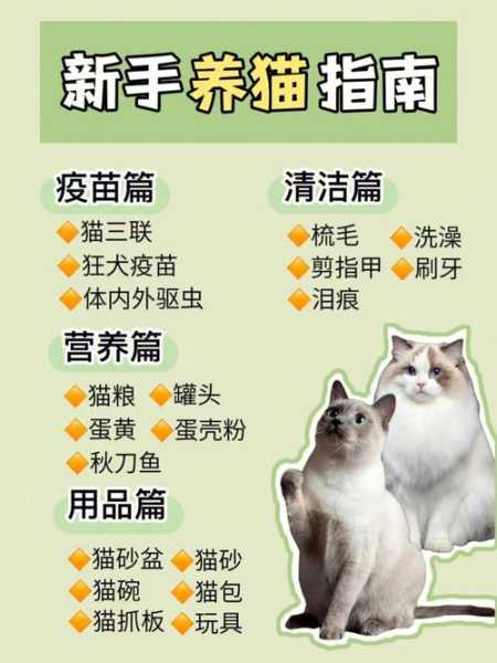 新手养猫宝典（新手养猫解惑合集）