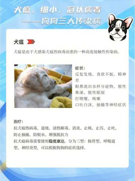 犬瘟热传染人吗能传染吗（犬瘟热传染吗?）