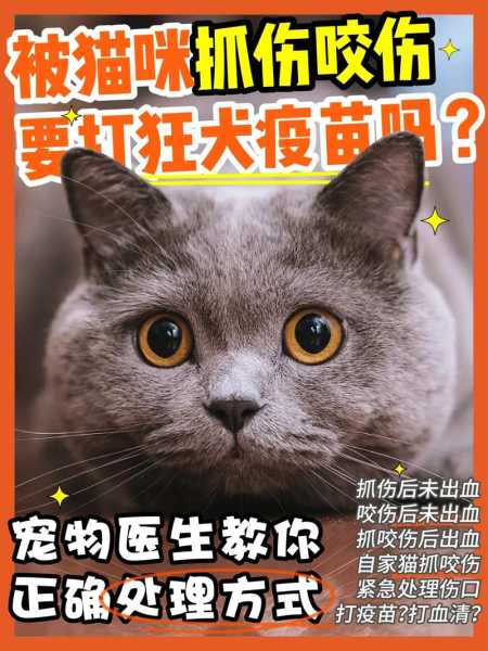 被猫狗抓咬伤不管多久打疫苗（被猫狗抓咬后多长时间打疫苗）