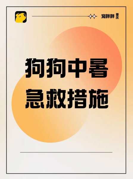 狗狗中暑的预防与救治视频（狗狗中暑了怎么办?狗狗中暑的治疗方法）