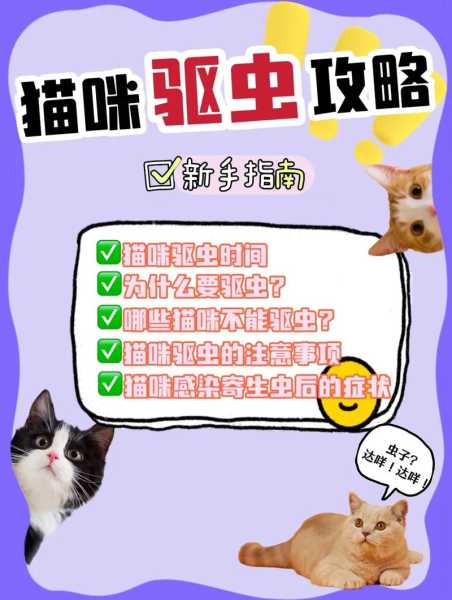 猫咪为什么要定期驱虫（猫为什么要经常驱虫）