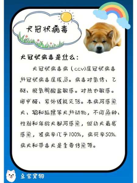 狗狗是如何感染犬瘟的病毒（狗是怎么染上犬瘟的）