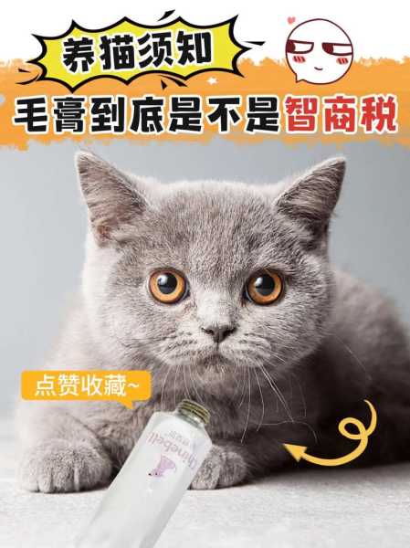 家猫需要化毛膏吗（家猫需要化毛膏吗为什么）