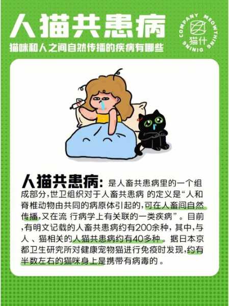 人和猫共患的传染病（人和猫共患的传染病有哪些）