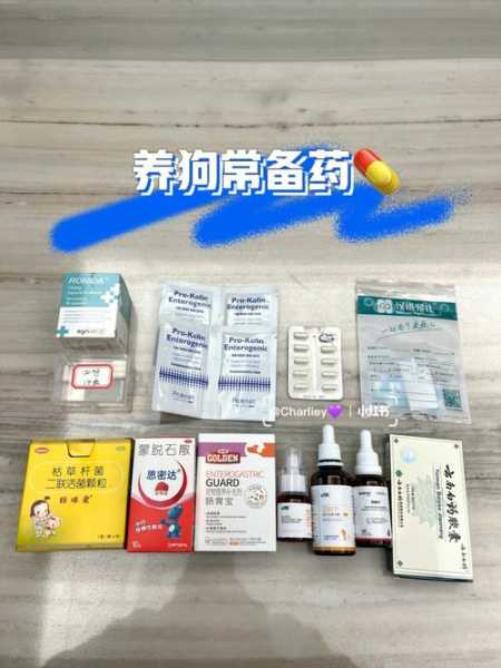 狗狗拉屎特别臭怎么办（狗狗拉屎特别臭怎么办吃什么药）