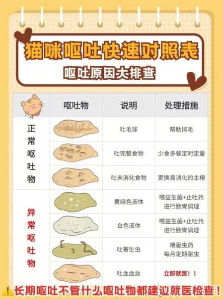 猫咪呕吐怎么回事（猫咪呕吐是什么原因）