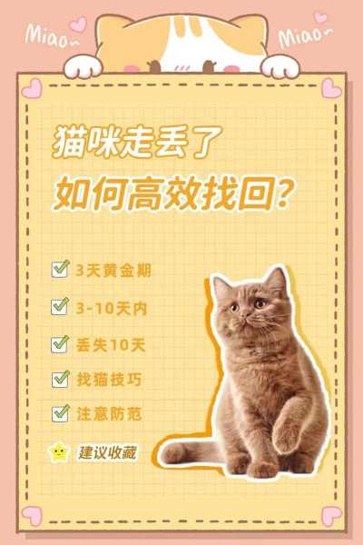 猫咪走丢了如何找回来（猫咪走丢了教你一招就能找回来）