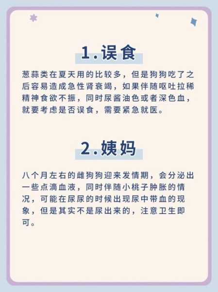 狗狗例假需要注意什么（狗狗例假需要注意什么饮食）