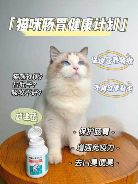 猫的日常保健（猫日常保健吃益生菌频率）