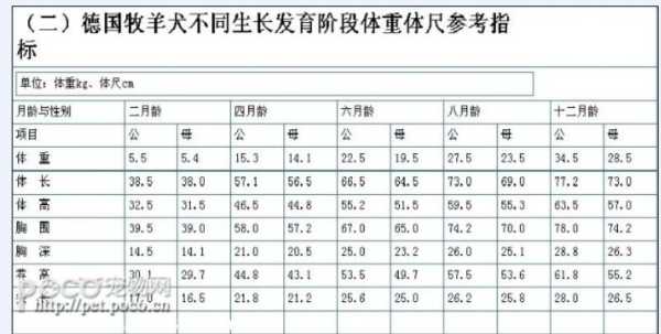 德国牧羊犬幼犬的选择方法（德国牧羊犬幼犬的选择方法图片）