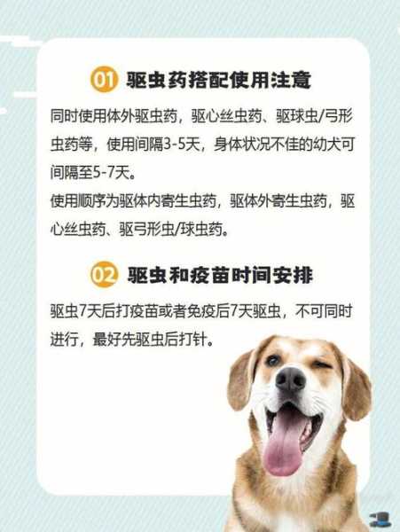 狗狗驱虫有什么不良反应（狗狗驱虫有什么不良反应症状）