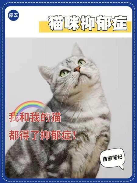 猫抑郁了怎么治（猫咪抑郁了怎么治疗）