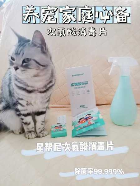 养猫可以用什么消毒（养猫可以用什么消毒剂）