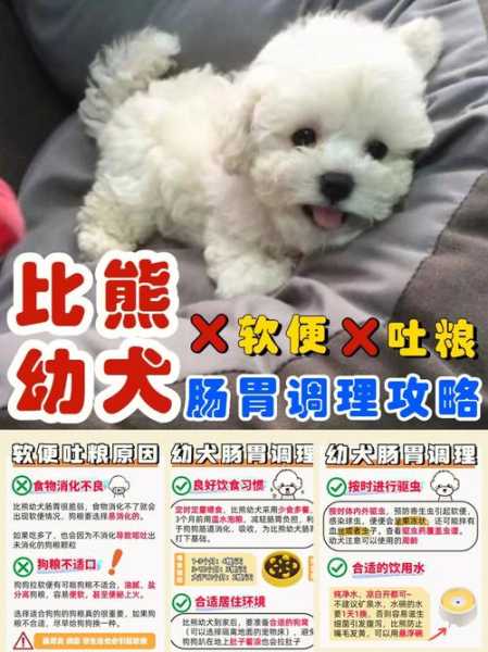 比熊犬拉稀是什么原因（比熊拉稀的原因）