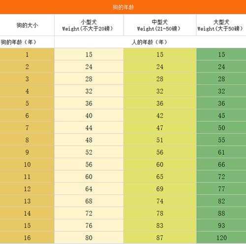 狗狗不同年龄段（狗狗不同年龄段的体重）