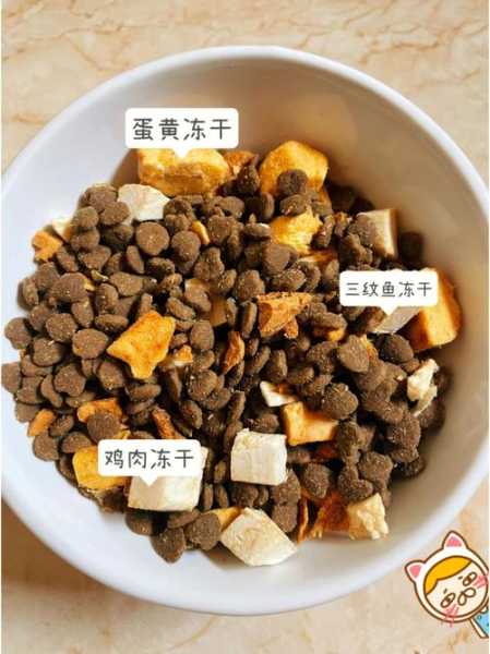 猫粮鸡肉冻干怎么做好吃（猫咪鸡肉冻干怎么磨成粉）