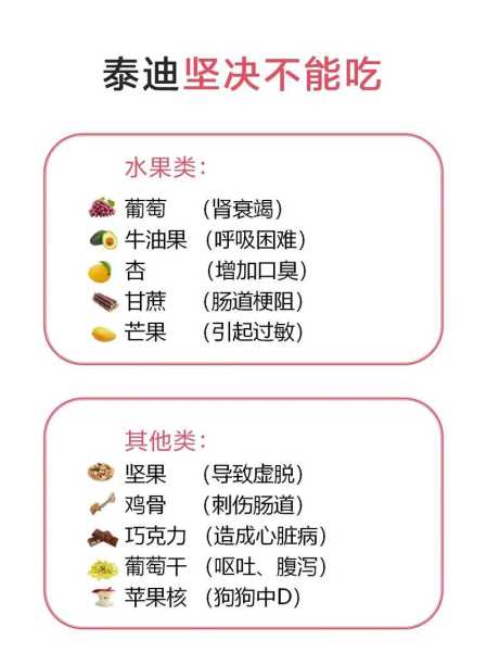 泰迪不能吃什么食物水果（泰迪不能吃什么?）