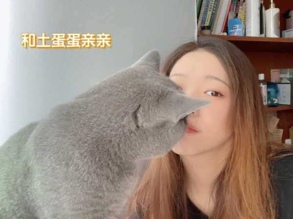 猫抓教程（猫抓程序）