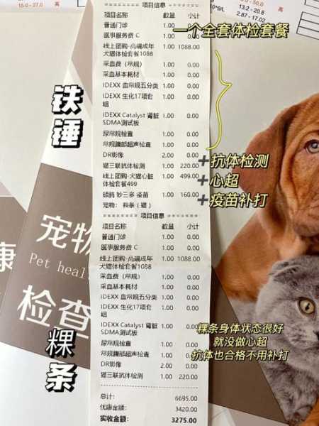 猫咪检查一次健康多少钱（猫做一次健康检查多少钱）