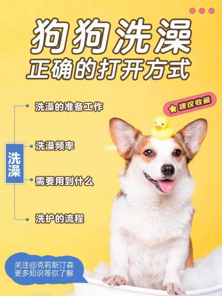 给幼犬洗澡会怎么样（给幼犬洗澡会怎么样吗）