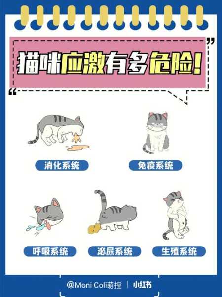 猫咪应激多久才能缓过来（猫咪突然不活泼了无精打采）