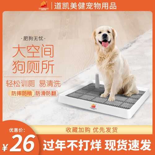 金毛犬怎么训练大小便视频（金毛狗狗如何训练大小便）