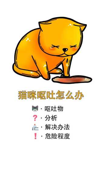 猫咪为什么会呕吐（猫咪为什么会呕吐?）