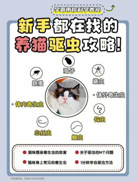 猫猫驱虫怎么驱（猫咪驱虫小妙招）