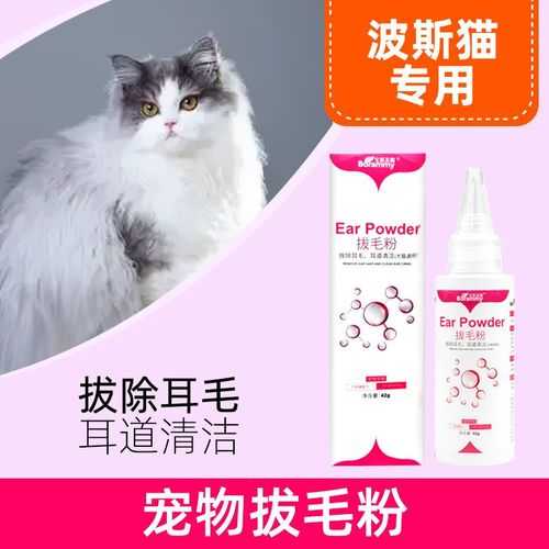 如何给波斯猫修毛（波斯猫剃毛好不好）