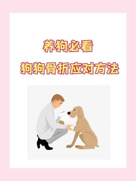 如何避免狗狗骨折的发生（狗狗骨折怎么静养）