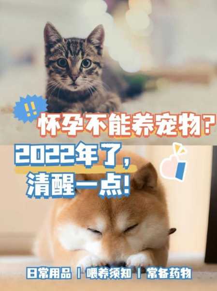 养宠物猫的坏处（养宠物猫的坏处有哪些）