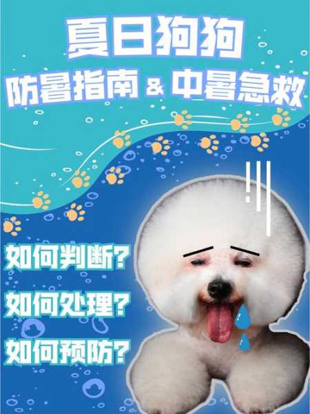 中暑犬该怎么处置（中暑狗狗的症状有哪些）