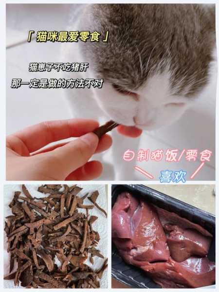 猫咪能否吃猪肝（猫咪能否吃猪肝粉）