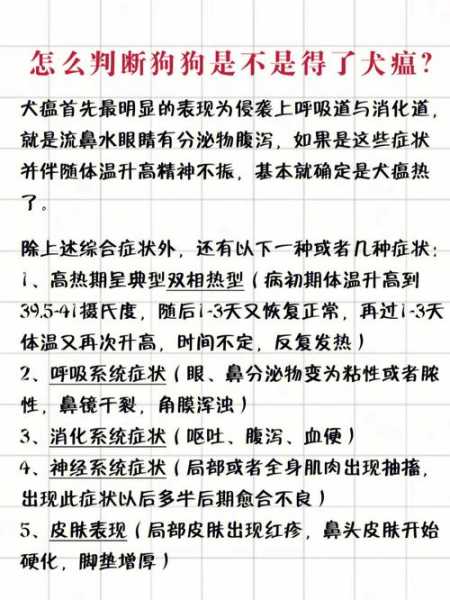 犬瘟热是什么病毒引起的（犬瘟热是由什么病毒引起的）