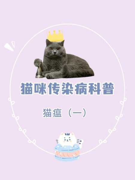 猫瘟由什么引起的（猫瘟产生的原因）