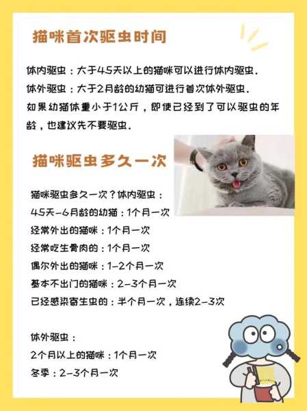 猫咪驱虫多久一次贵吗（一般猫驱虫多久一次）