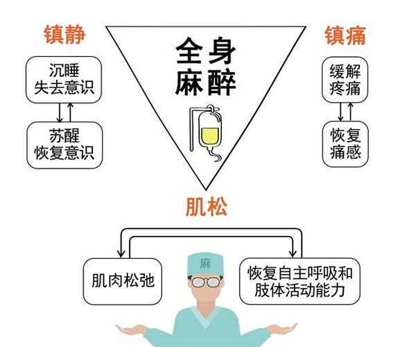 麻醉可能出现的风险（麻醉的风险因素）