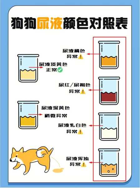 狗狗尿液颜色对照表（狗狗尿液颜色对照表图片）