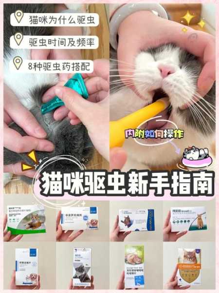 给猫咪驱虫的步骤（给猫咪驱虫的步骤有哪些）