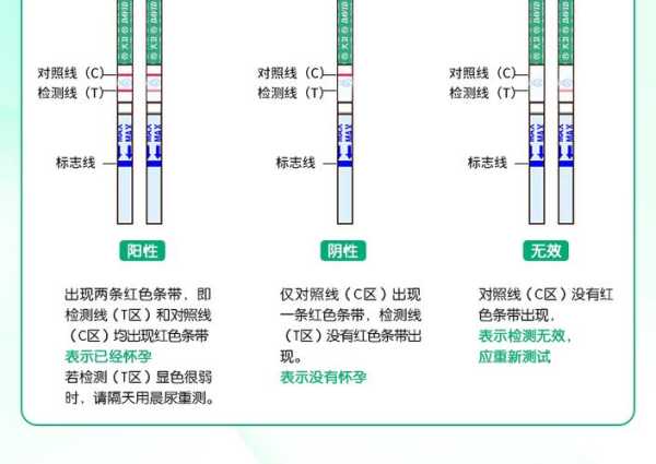 测孕棒怎么看图解图（测孕棒怎么看图解图视频）